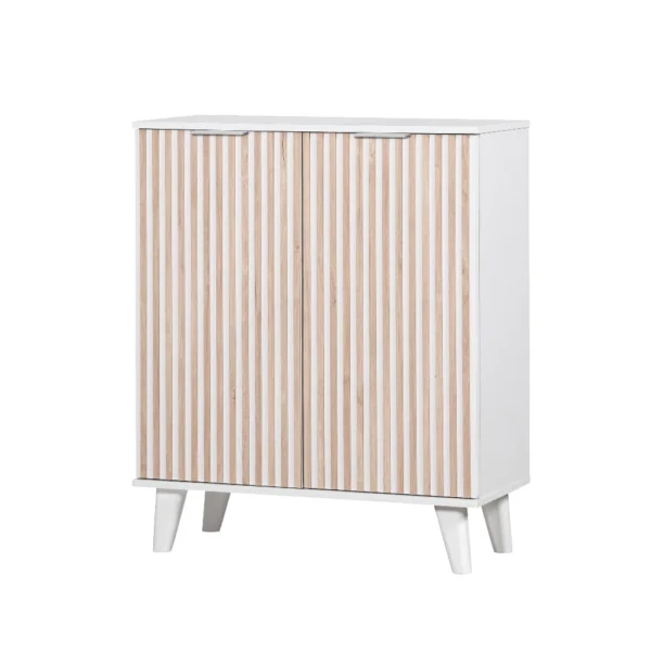 2 Doors Shoe Cabinet Storage Cabinet   Rak Kasut SR150