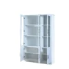 my-11134207-820lb-mh74flznmjnz99.webp Filing Cabinet w Glass Bookshelf Kabinet Buku Dengan Kaca JBC 822