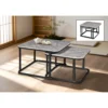 2 in 1 Sintered Stone Coffee Table Set Side Table Meja Kopi Meja Sisi
